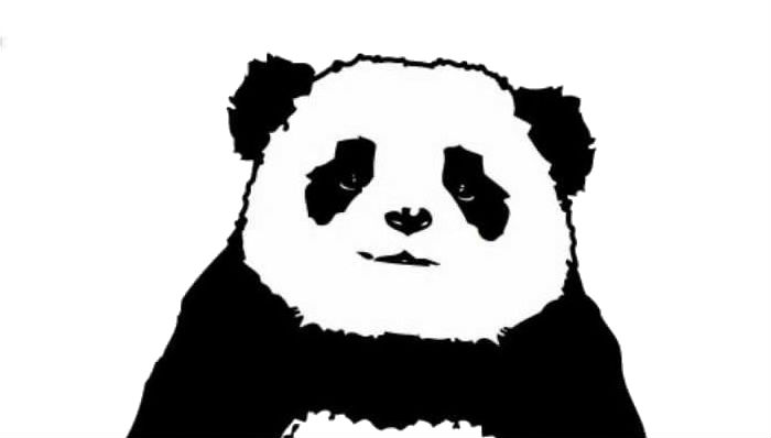 Panda-404